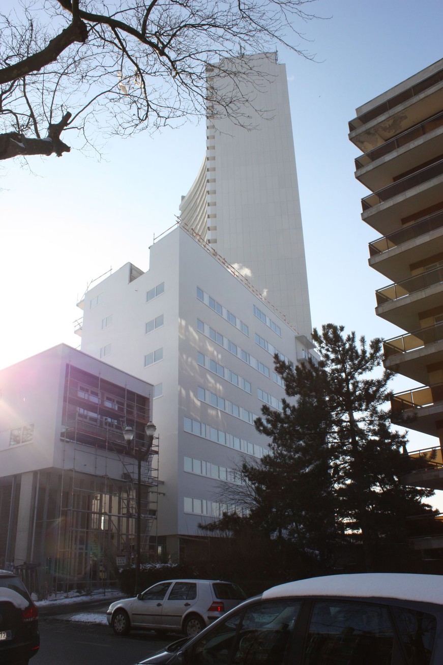 Brusilia